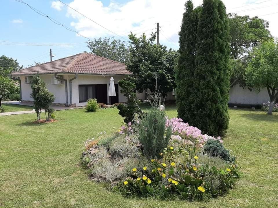 Guesthouse Oasis-Шабла Екстер'єр фото