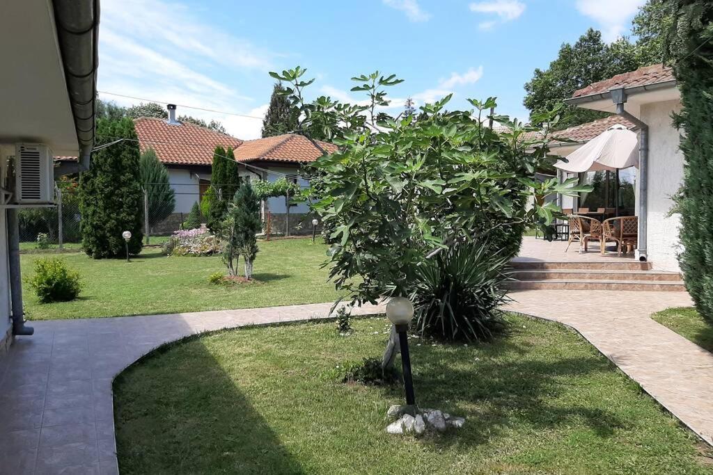 Guesthouse Oasis-Шабла Екстер'єр фото