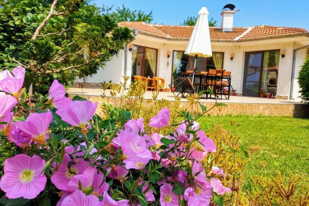 Guesthouse Oasis-Шабла Екстер'єр фото