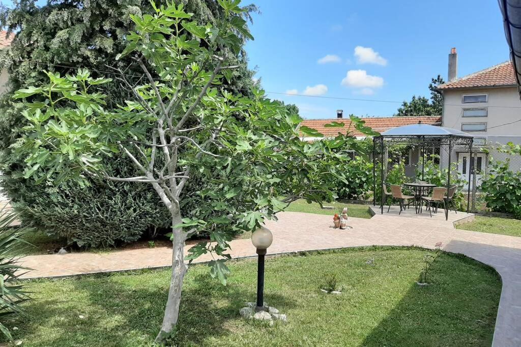 Guesthouse Oasis-Шабла Екстер'єр фото